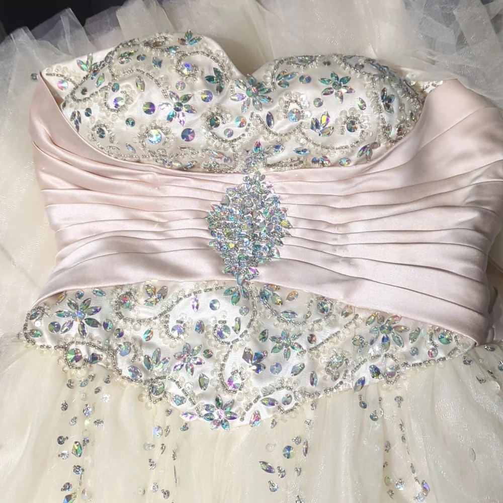 Prom Dress - Picture 5 of 7